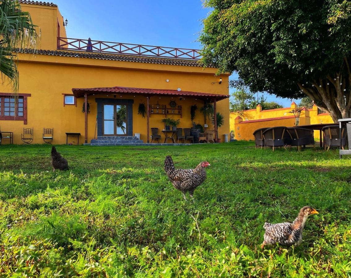 Villa Fort Tenerife Tacoronte Exterior foto